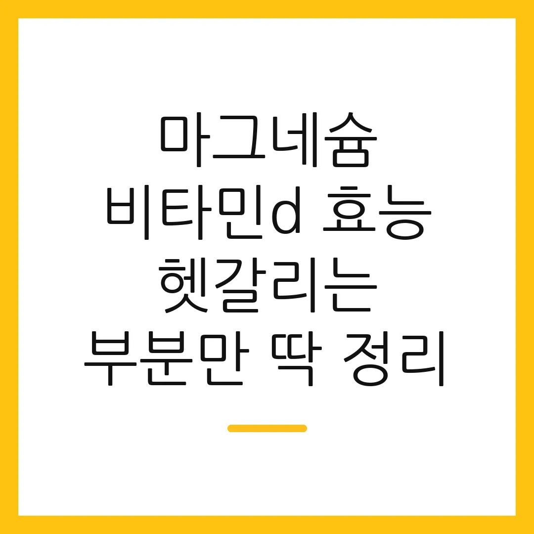 마그네슘 비타민d 효능 헷갈리는 부분만 딱 정리
