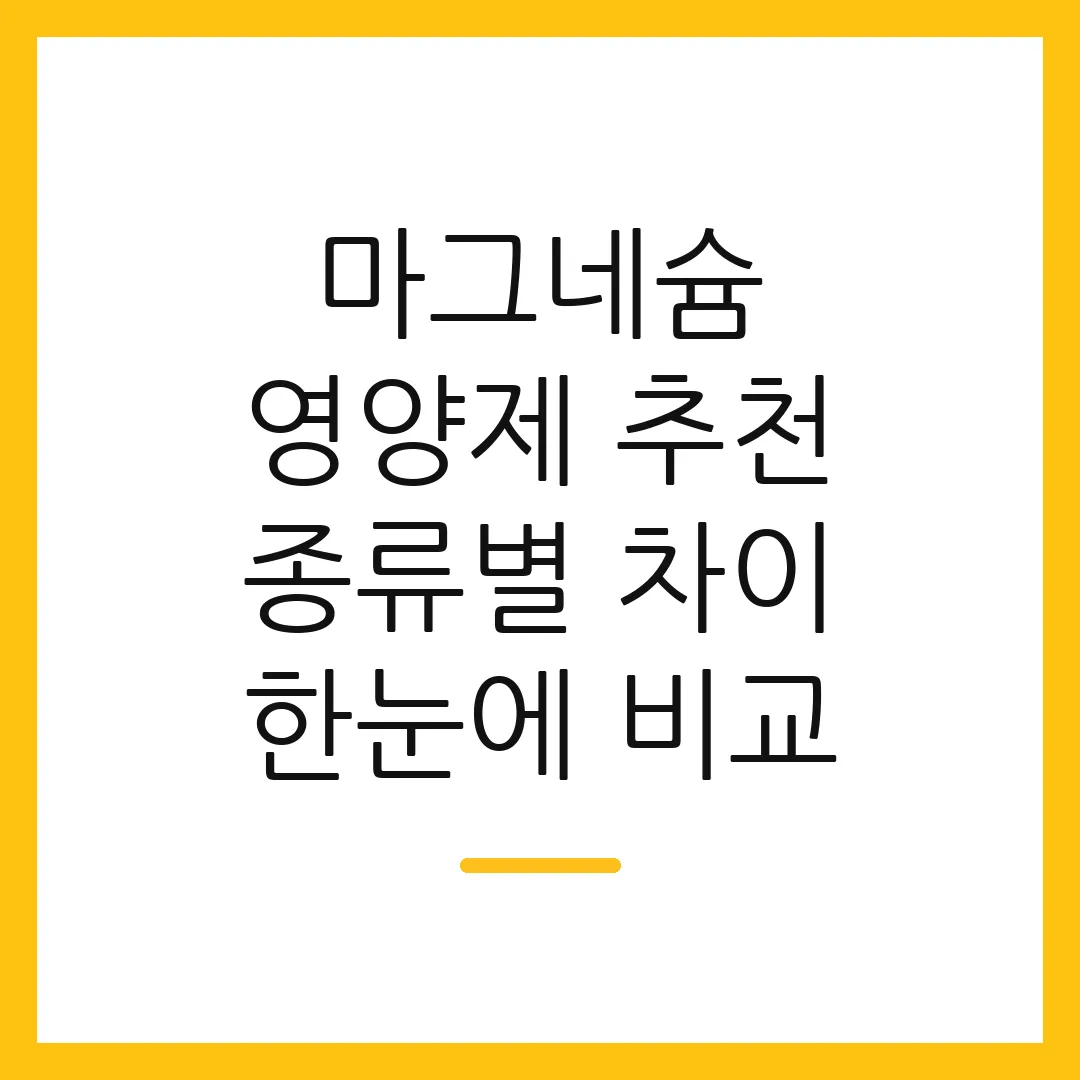 마그네슘 영양제 추천 종류별 차이 한눈에 비교