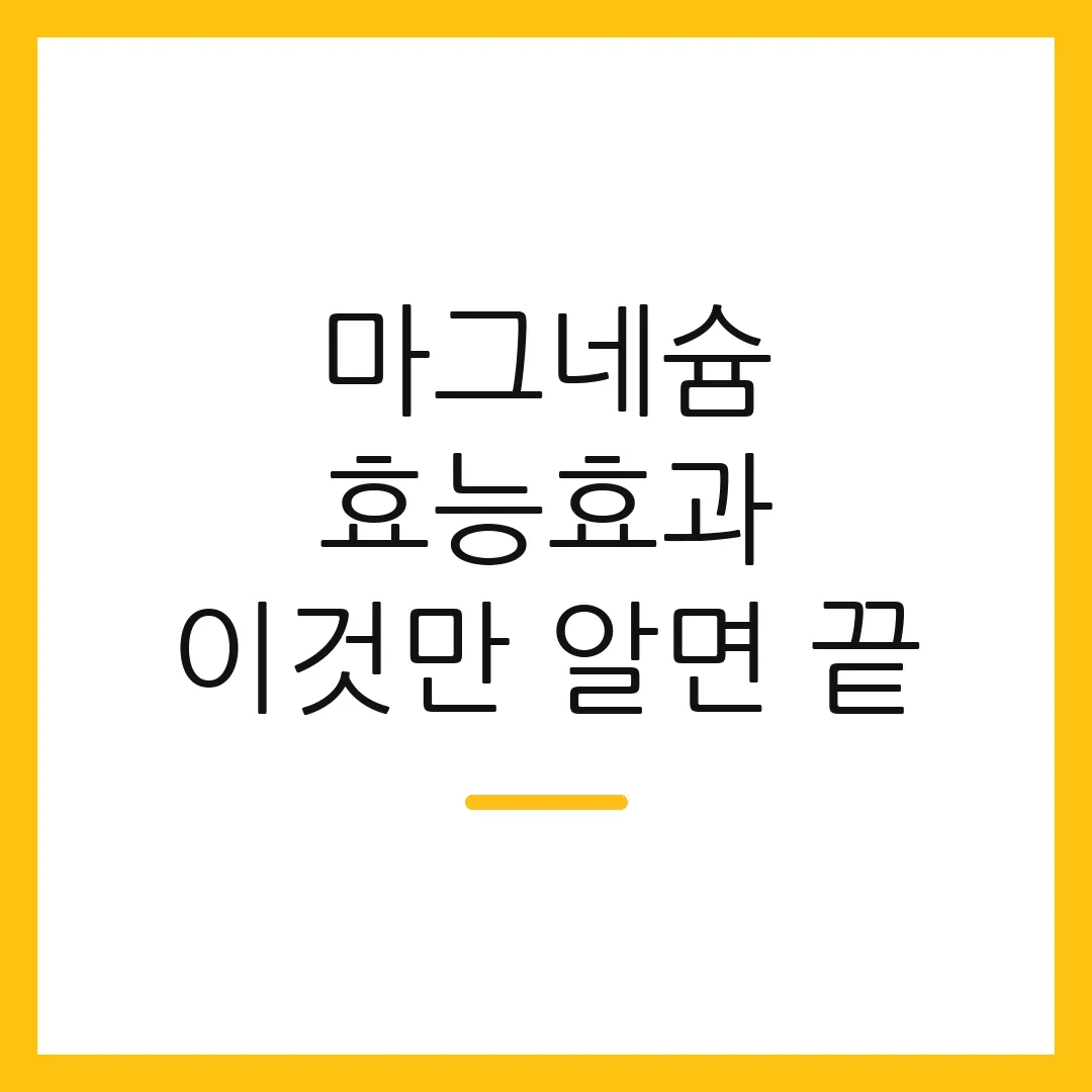 마그네슘 효능효과 이것만 알면 끝
