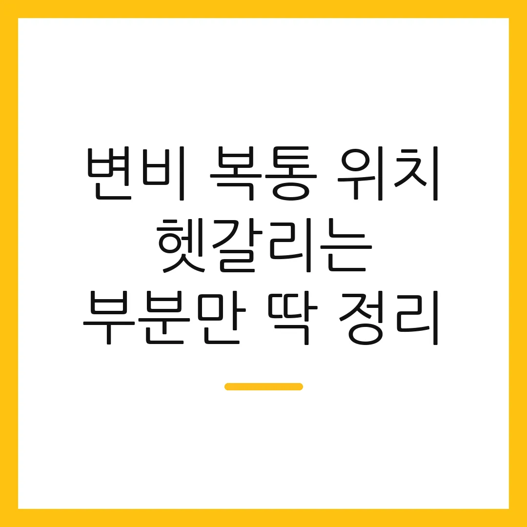 변비 복통 위치 헷갈리는 부분만 딱 정리