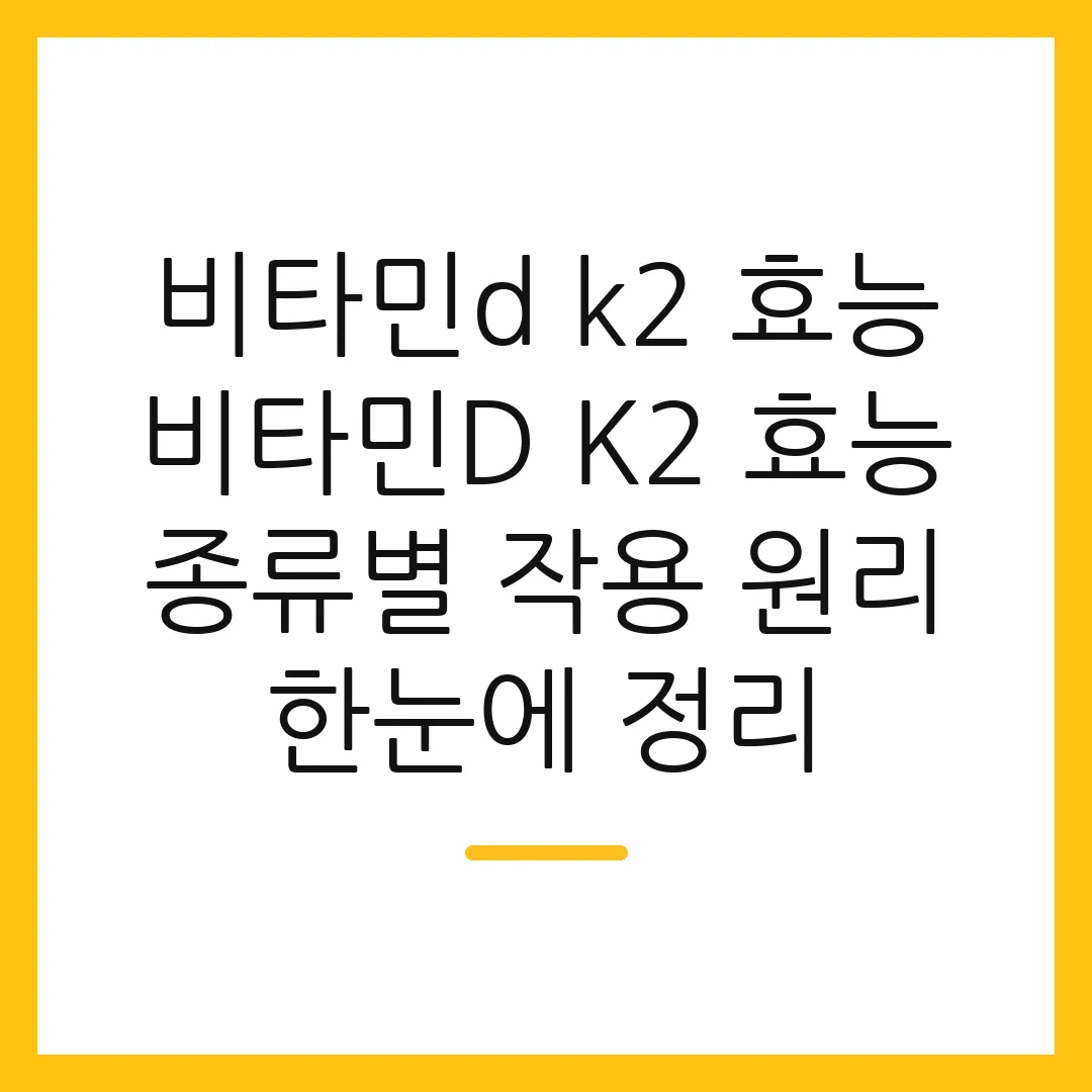 비타민d k2 효능 비타민D K2 효능 종류별 작용 원리 한눈에 정리