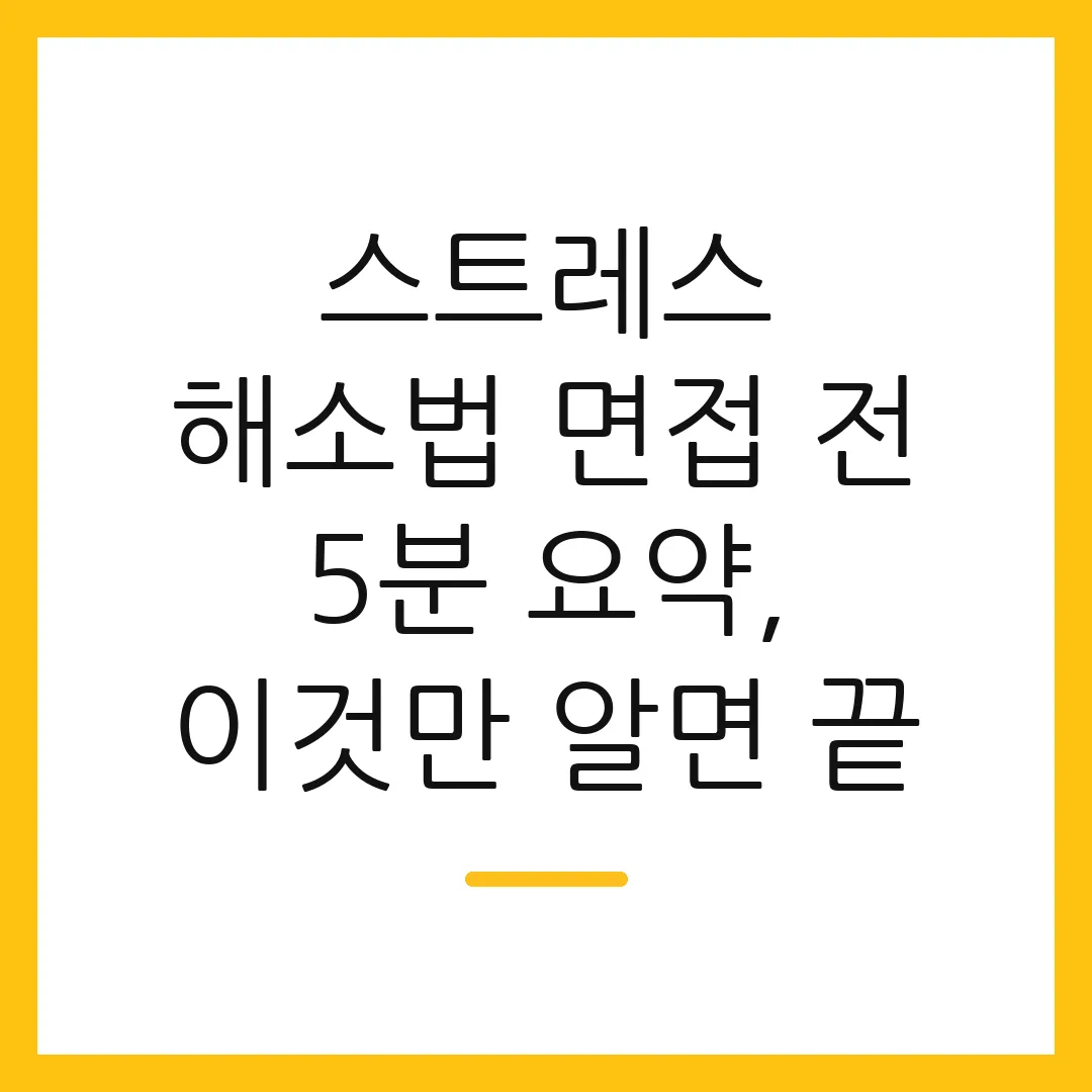 스트레스 해소법 면접 전 5분 요약, 이것만 알면 끝