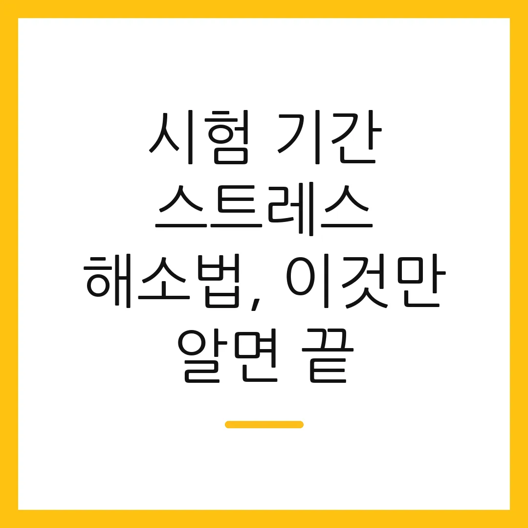 시험 기간 스트레스 해소법, 이것만 알면 끝