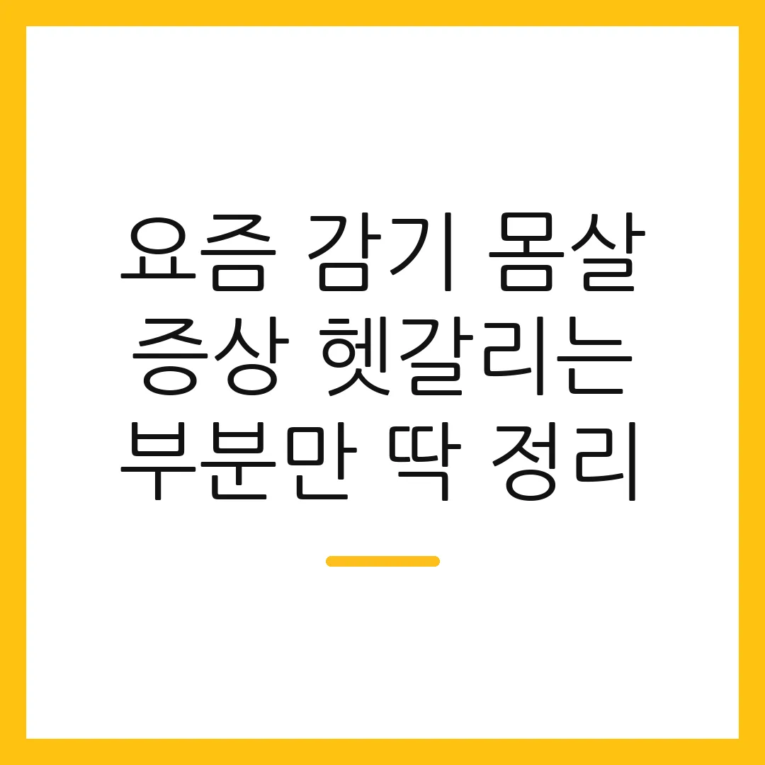 요즘 감기 몸살 증상 헷갈리는 부분만 딱 정리