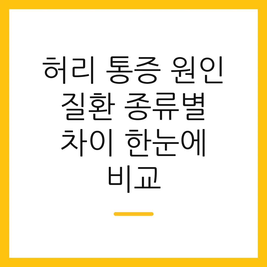 허리 통증 원인 질환 종류별 차이 한눈에 비교